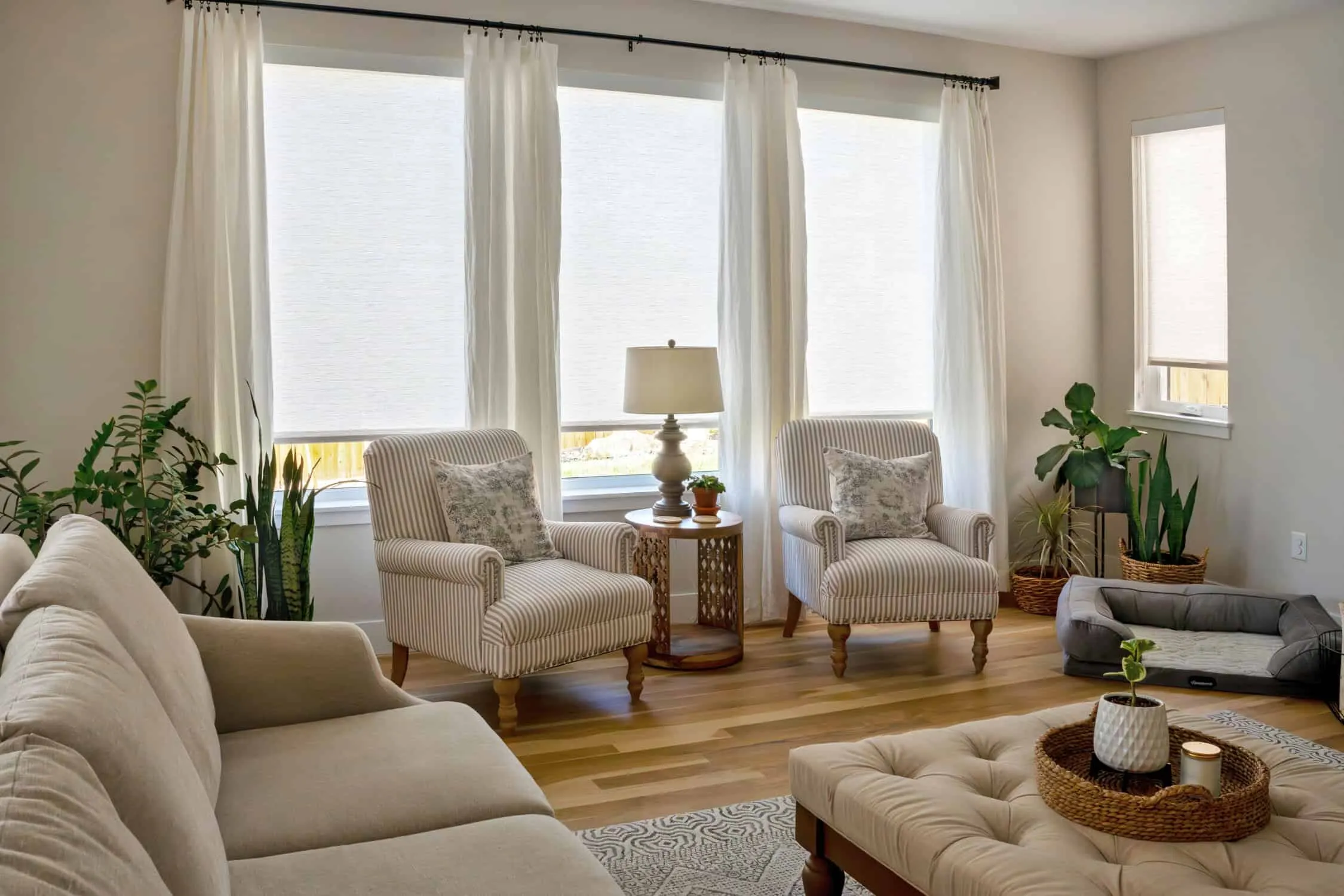 Bright living room with a beige sofa, two striped armchairs, and a tufted ottoman. Large windows adorned with custom blinds let in natural light. Plants and a decorative lamp on a side table add a cozy touch. A dog bed sits in the corner.