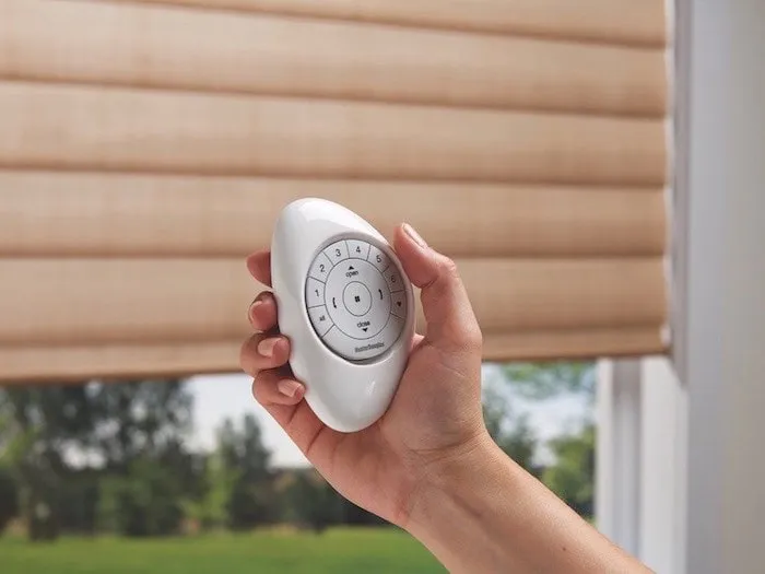 A person holds a white remote control with multiple buttons, adjusting the custom window shades in front of partially closed beige blinds. The background showcases a window view of a lush green outdoor area with trees and a clear sky.