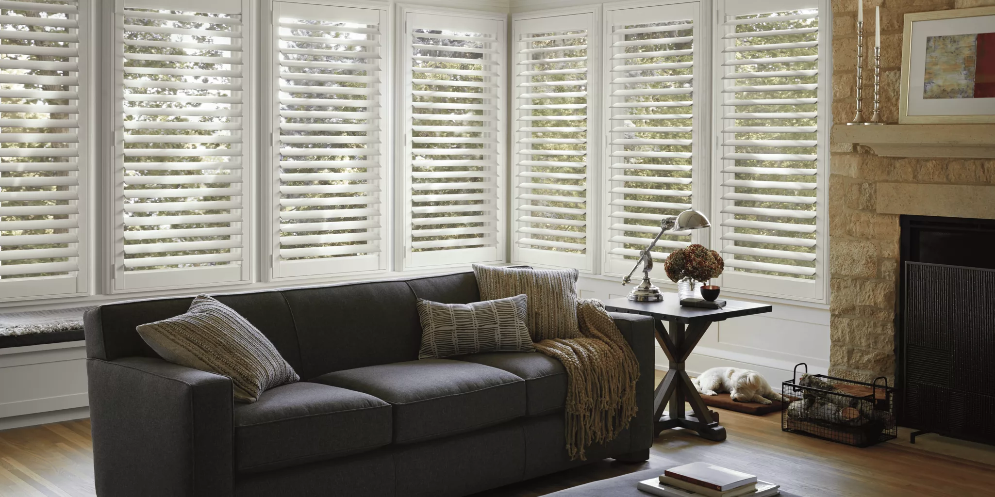 A cozy living room features a dark gray sofa with cushions and a throw blanket. Large windows with white custom blinds allow natural light to fill the space. A side table holds a lamp, books, and a potted plant. A small dog sleeps on a cushion nearby.