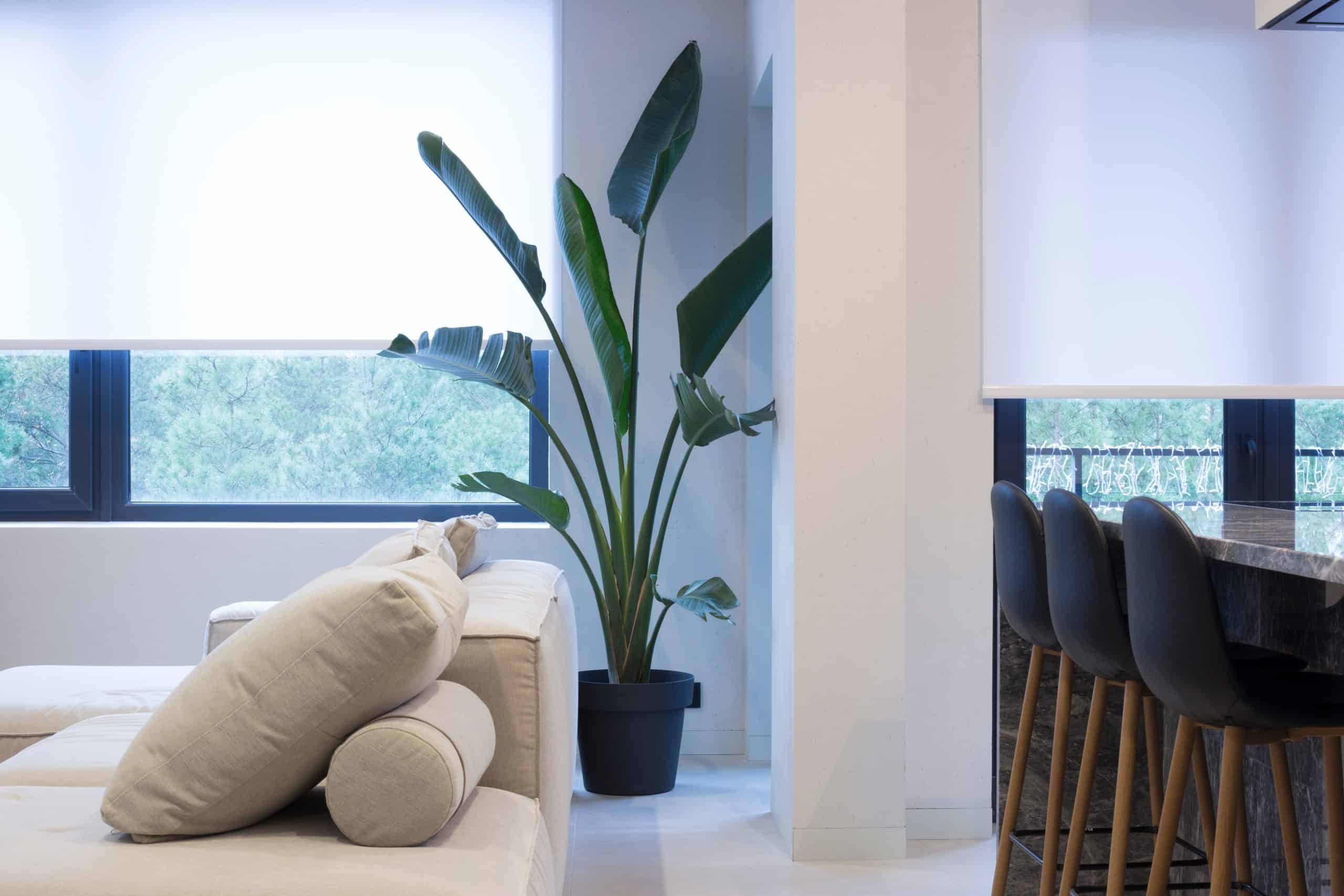 Modern living room with a large potted plant near tall windows with drawn blinds. A beige sectional sofa with cushions faces a kitchen island, which is lined with black bar stools. Natural light fills the space.