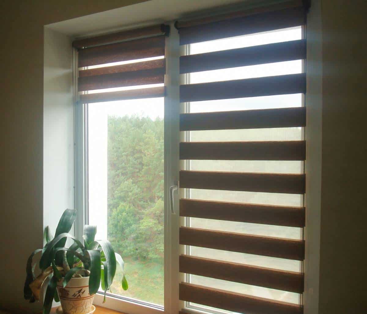 A window with two zebra roller blinds partially down, allowing light through transparent stripes. A potted plant with long green leaves sits on the windowsill. Green trees are visible outside.
